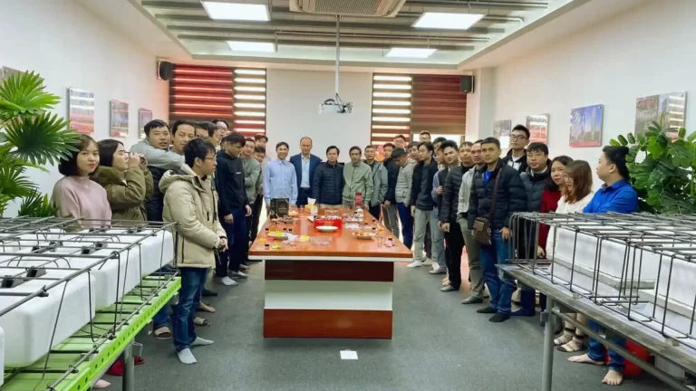Chuyên gia thiết kế VRO Group